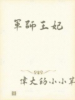 军师王妃