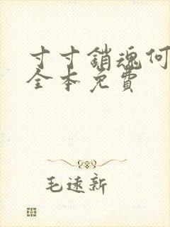 寸寸销魂何生祥全本免费