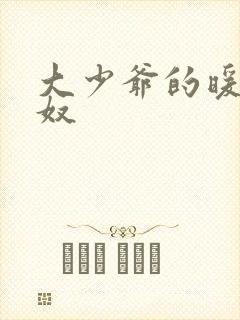 大少爷的暖床小奴