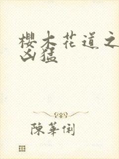 樱木花道之重生凶猛