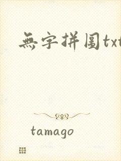 无字拼图txt