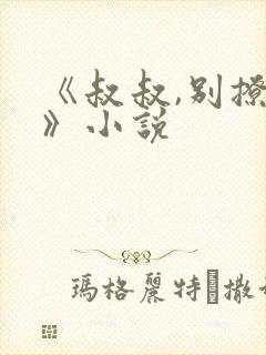 《叔叔,别撩我》小说