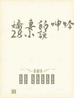 娇妻的呻吟1—28小说