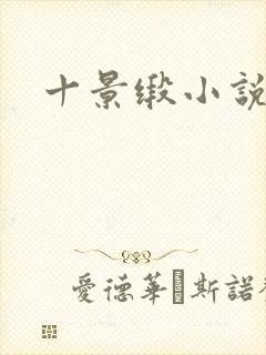 十景缎小说