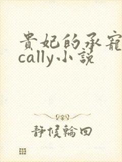 贵妃的承宠日常cally小说