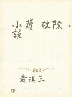小萝 破除 小说