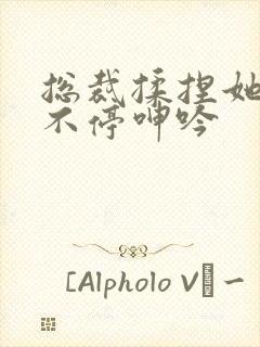 总裁揉捏她两乳不停呻吟