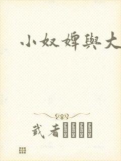 小奴婢与大少爷