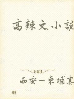 高辣文小说