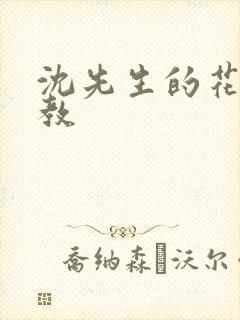 沈先生的花式调教