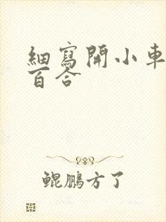 细写开小车车的百合