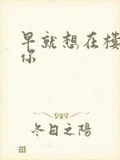 早就想在楼梯要你