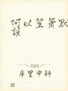 何以笙箫默 小说