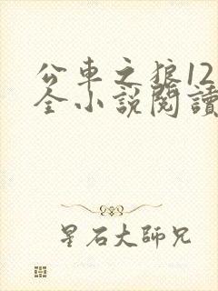 公车之狼12集全小说阅读