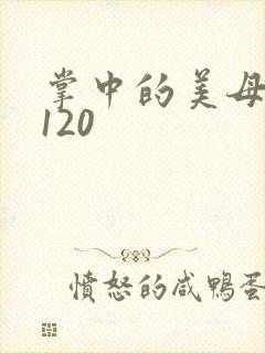 掌中的美母版主120