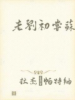 老刘初尝苏荷媳