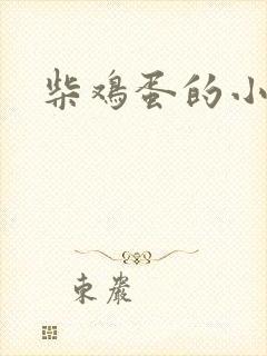 柴鸡蛋的小说