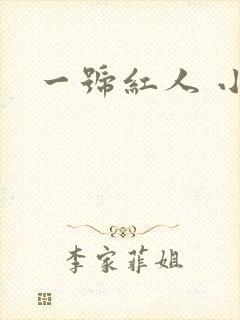 一号红人 小说