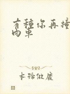 有种你再撞一下肉车