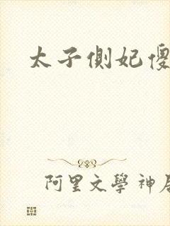 太子侧妃傻乎乎