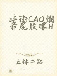 暗卫CAO烂王爷屁股眼H