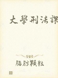 大学刑法课