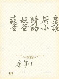 苏妖精厨房爹爹爸爸的小说