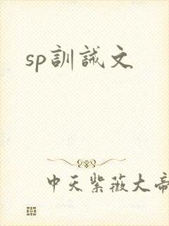 sp训诫文
