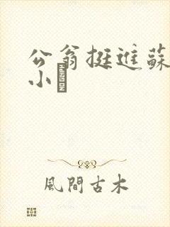 公翁挺进苏玥的小泬