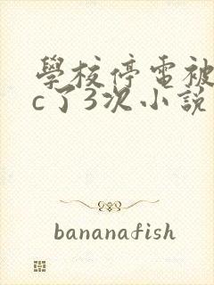 学校停电被同桌c了3次小说