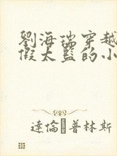 刘海瑞穿越后宫假太监的小说