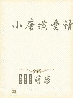 小唐璜爱情历史