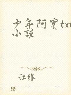 少年阿宾txt小说