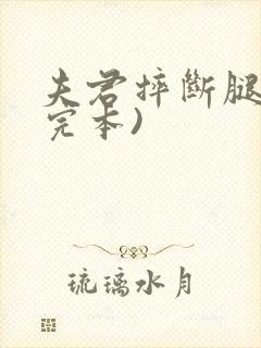 夫君摔断腿后(完本)