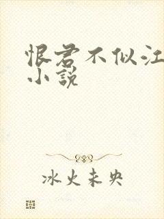 恨君不似江楼月小说