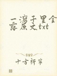 一泻千里金银花露原文txt