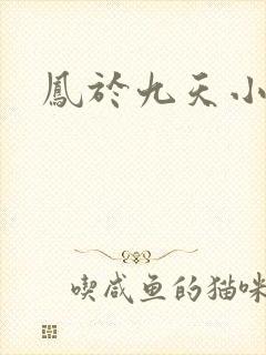 凤于九天小说