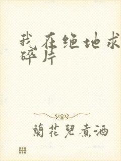 我在绝地求生捡碎片