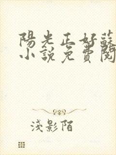 阳光正好苏玥玥小说免费阅读无弹窗