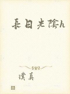 长日光阴h