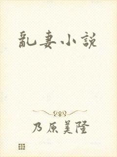 乱妻小说