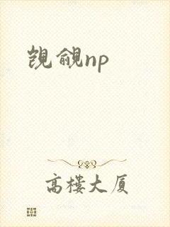 觊觎np