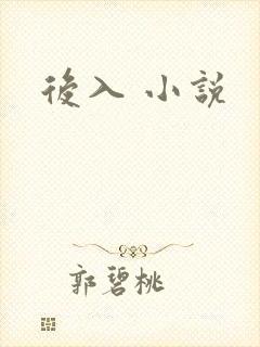 后入 小说