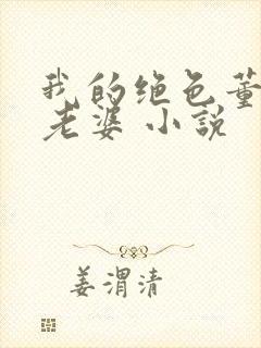 我的绝色董事长老婆 小说