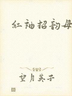 红袖招韵母攻略