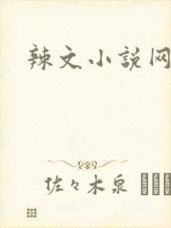 辣文小说网