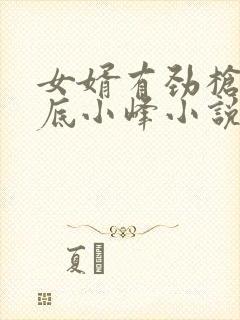 女婿有劲枪枪到底小峰小说