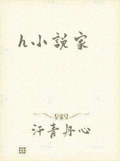 h小说家