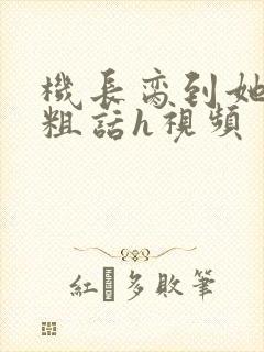 机长脔到她哭h粗话h视频