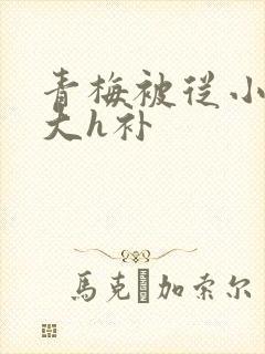 青梅被从小摸到大h补